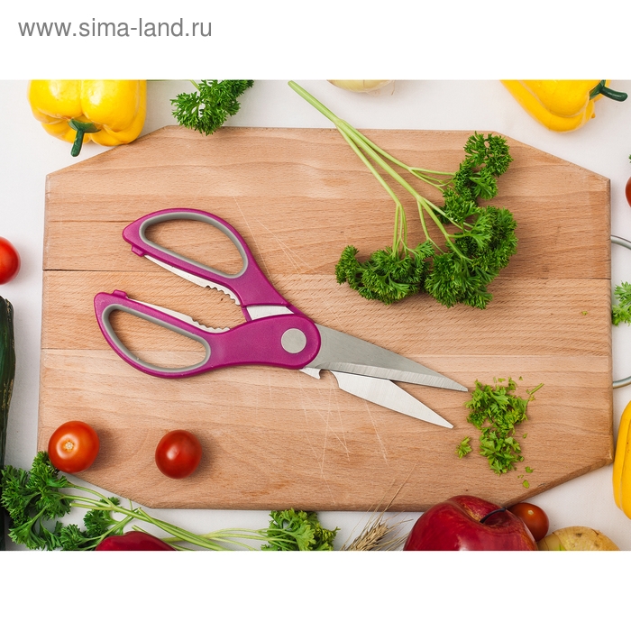 Ножницы кухонные Доляна «Генри», 23 см, цвет МИКС Ножницы кухонные Доляна «Генри», 23 см, цвет МИКС