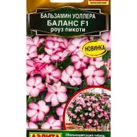 Семена цветов Бальзамин Баланс F1 роуз пикоти Золотая серия, Ц/П,7 шт. Семена цветов Бальзамин Баланс F1 роуз пикоти Золотая серия, Ц/П,7 шт.