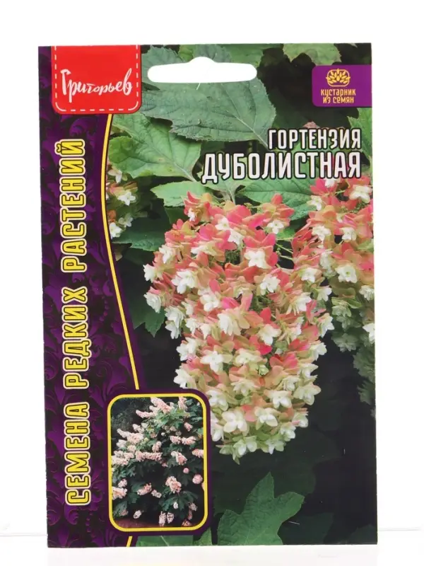 Семена цветов Гортензия Дуболистная  20 шт.  12.29 г.