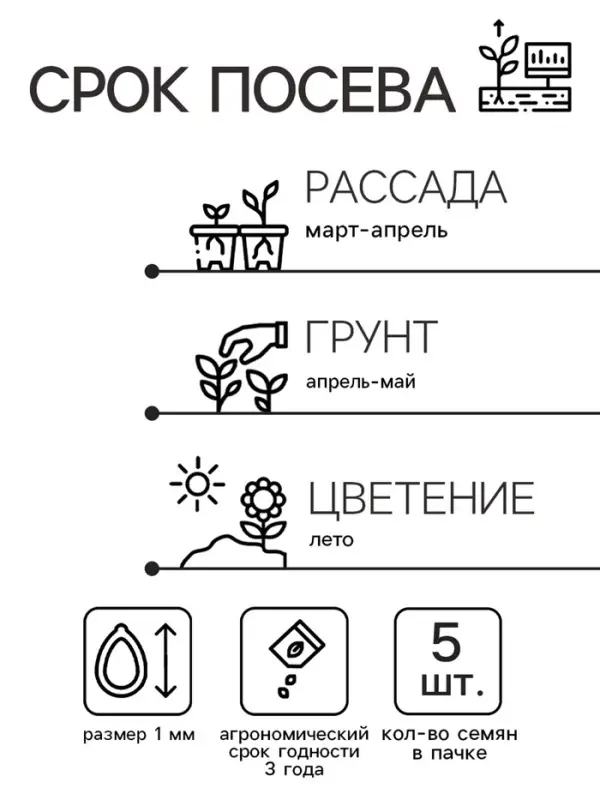 Семена цветов Колокольчик &laquo;Рапидо Уайт&raquo;, 5 шт., &laquo;Золотая Сотка Алтая&raquo;