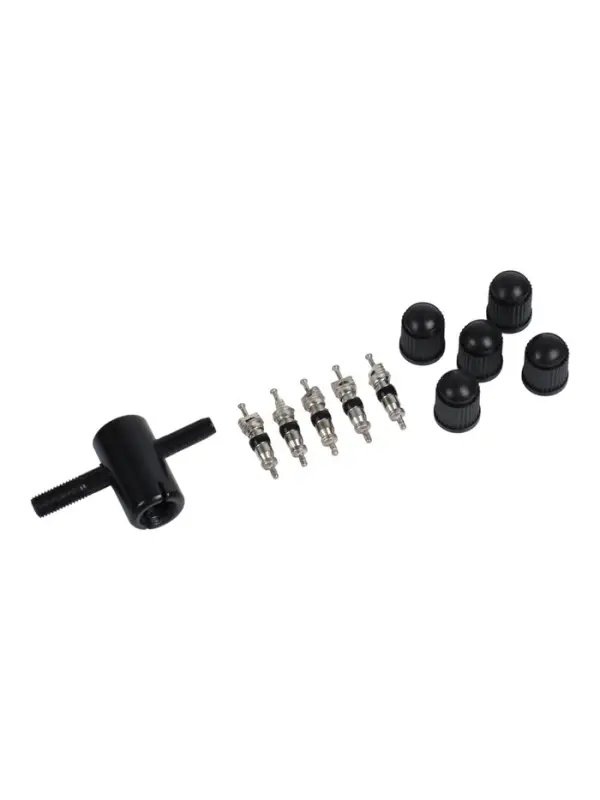 Набор автолюбителя №1, 5 колпачков, пластик, 5 золотников коротких, ключ