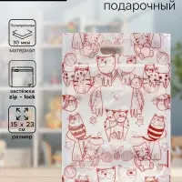 Пакет подарочный, с zip - lock застежкой, 15&times;23 см