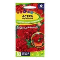 Семена Астра "Тысяча чудес", ц/п,  карминная, 0,2 гр.