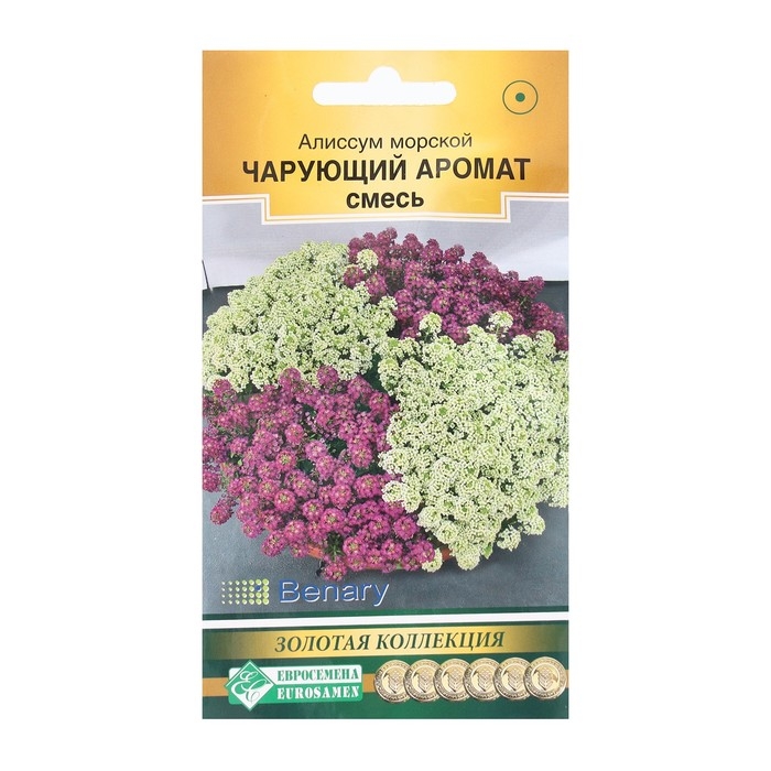 Семена Цветов Алиссум морской Чарующий Аромат, смесь, 10 шт Семена Цветов Алиссум морской Чарующий Аромат, смесь, 10 шт