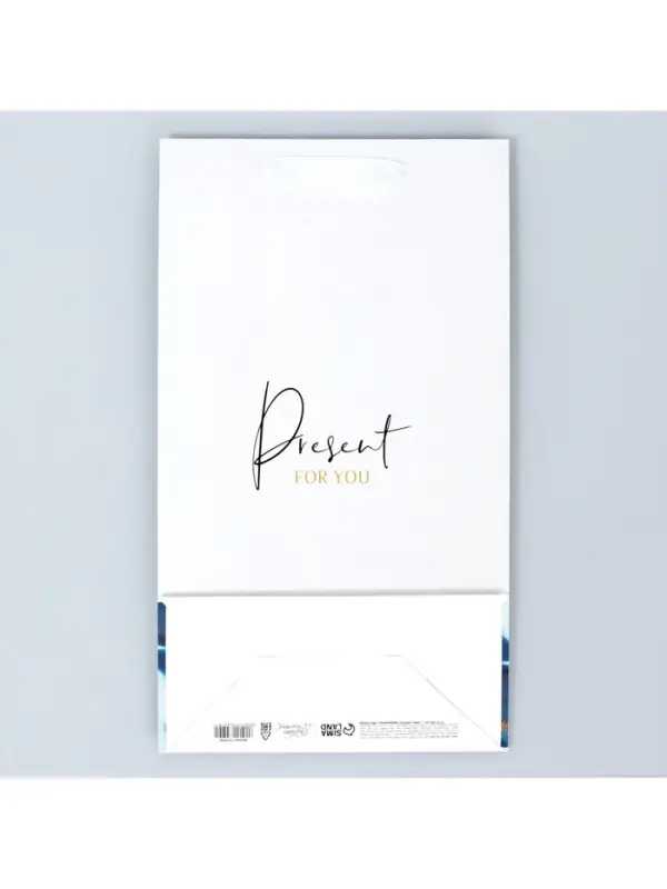 Пакет подарочный под две бутылки, упаковка, &laquo;Present for you&raquo;, 35&times;20&times;9 см