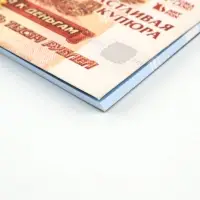 Подарочный набор: Стикеры планинг и ручка "Купюра" Подарочный набор: Стикеры планинг и ручка "Купюра"