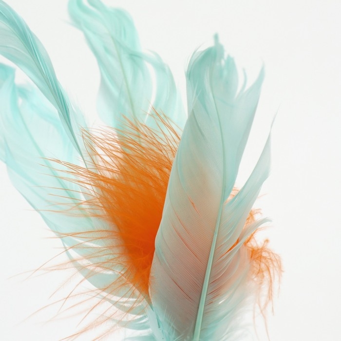 Игрушка-неваляшка  Игрушка-неваляшка "Перьевой фонтан" для кошек, 20 см, микс цветов