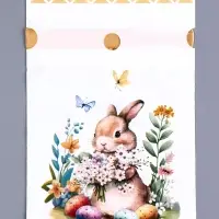 Пакет полиэтиленовый подарочный «Заяц с цветами», с завязками, 15×23 см МИКС Пакет полиэтиленовый подарочный «Заяц с цветами», с завязками, 15×23 см МИКС