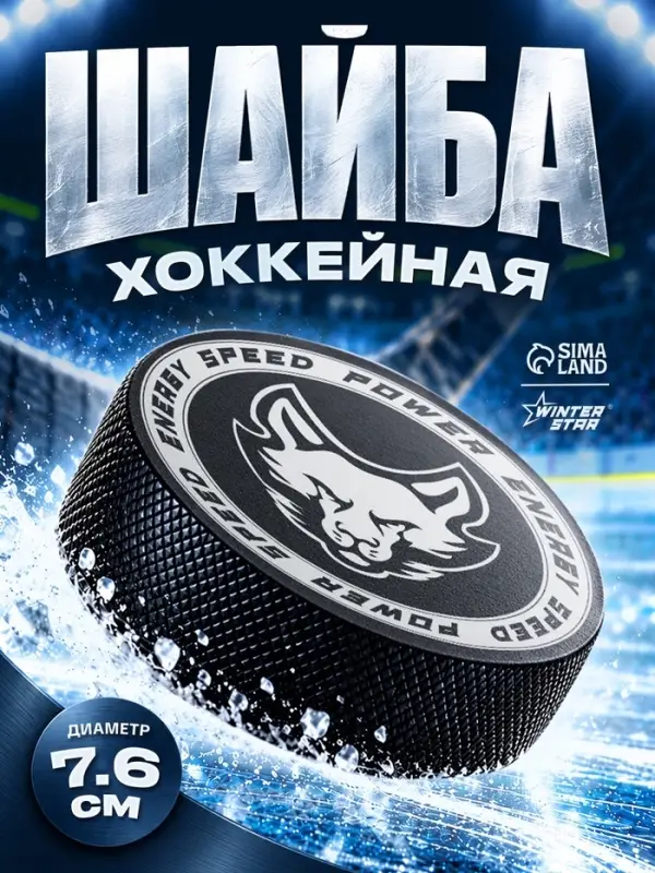 Шайба хоккейная Winter Star, взрослая, d=7.6 см