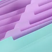 Папка А4 Haze, 12 отделений, 600 мкм, на кнопке, мятная