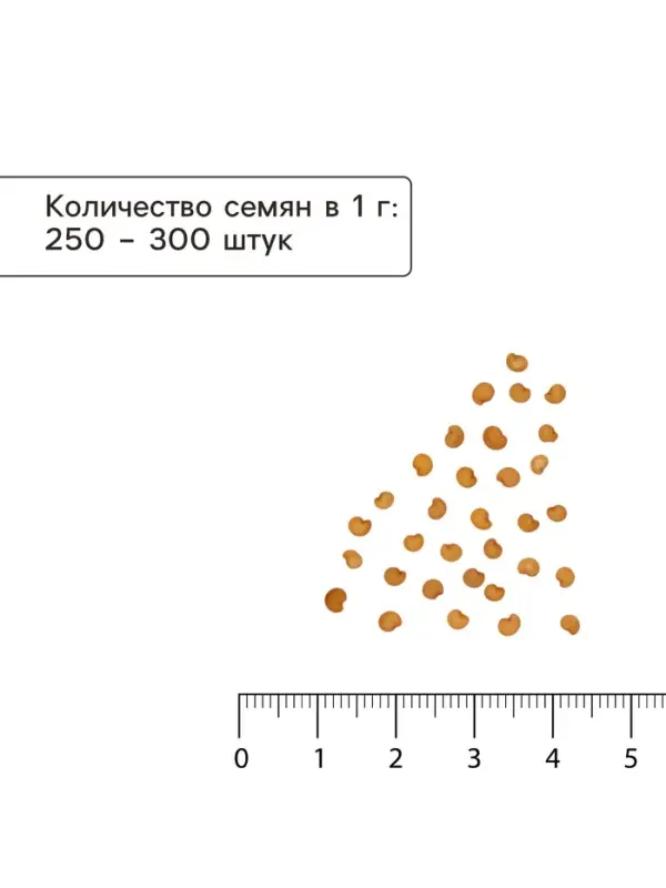Семена Баклажан &laquo;Пантера&raquo;, 0.2 г, среднеспелый, &laquo;Золотая Сотка Алтая&raquo;