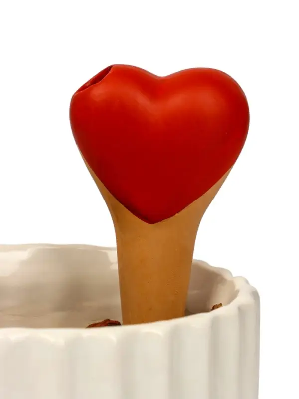 Автополив для комнатных растений &laquo;Сердечко&raquo;, 14&times;4.6 см, керамика, набор 4 шт., МИКС