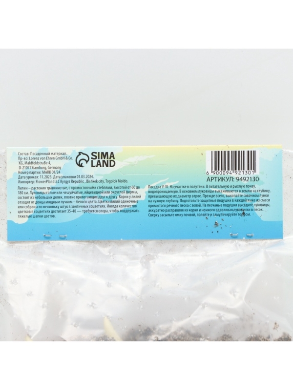 Лилия Азиатская Кашпо Gwen, луковица в пакете с перфорацией, р-р 12/14, 2 шт.