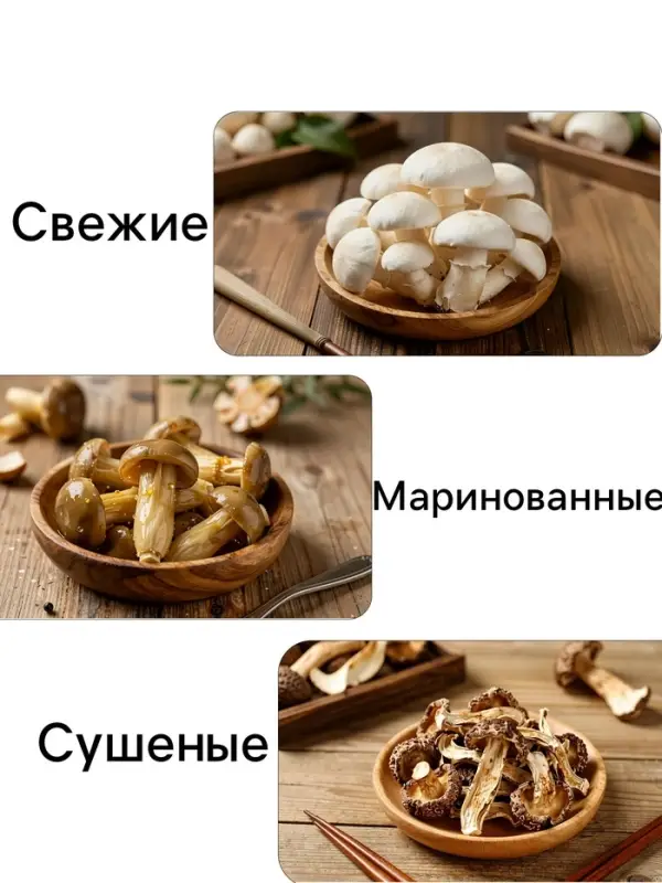 Мицелий грибов Белый гриб &laquo;Берёзовый&raquo;, 60 мл, &laquo;Престиж семена&raquo;