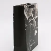 Пакет подарочный «Поздравляю», M 25,5 × 30 × 9 см Пакет подарочный «Поздравляю», M 25,5 × 30 × 9 см