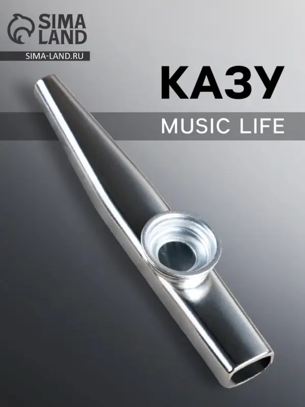 Казу Music Life, серебристый