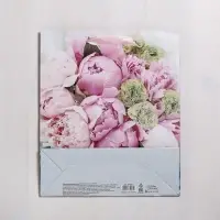 Пакет подарочный ламинированный, упаковка, &laquo;Радости!&raquo;, ML 23&times;27&times;11.5 см