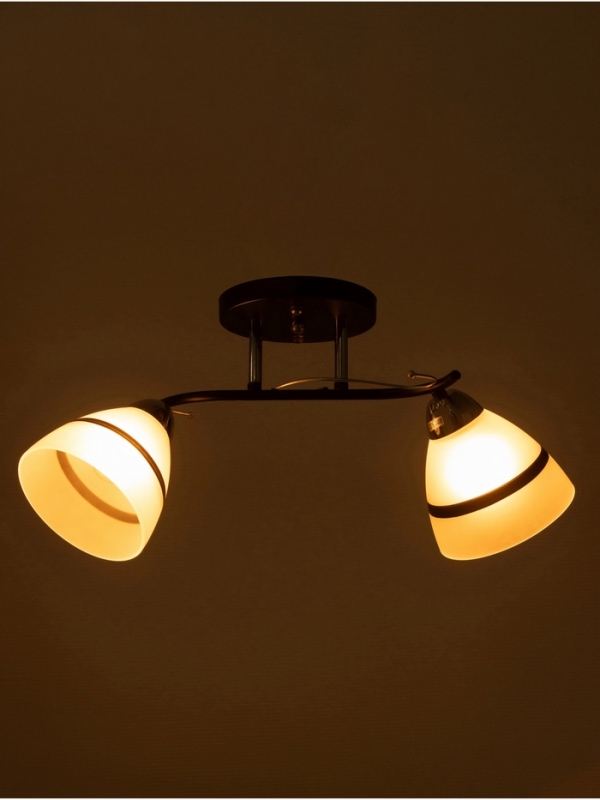 Люстра Люстра "Лайма" 2хЕ27 40Вт черно-хромовый 50х15х24 см