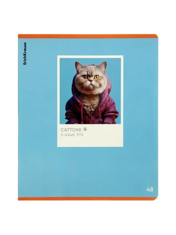 Тетрадь 48 листов в клетку, ErichKrause CatTone, 60 г/м&sup2;, МИКС