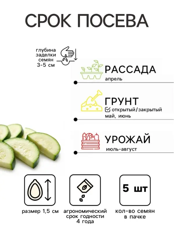 Семена Кабачок &laquo;Белоплодные&raquo;, 5 шт., &laquo;Агрос&raquo;