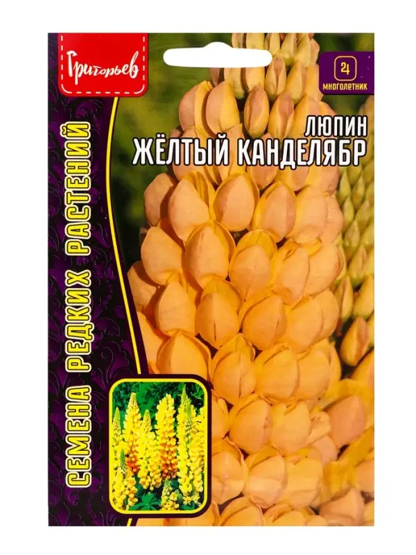 Семена цветов Люпин Жёлтый Канделябр многолетний  14 шт.  12.29 г.