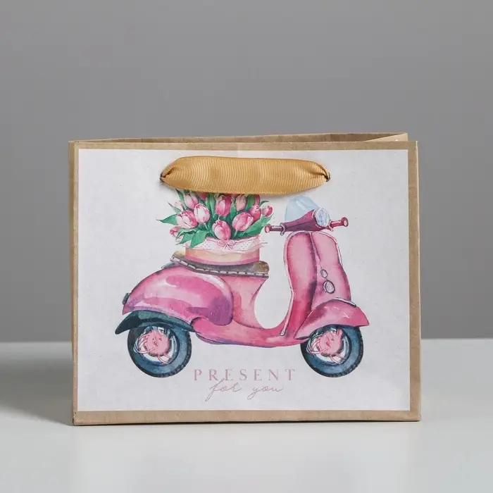 Пакет подарочный крафтовый, упаковка, «Present for you», 15 х 12 х 5.5 см Пакет подарочный крафтовый, упаковка, «Present for you», 15 х 12 х 5.5 см