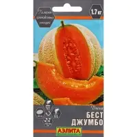 Набор семян Дыня "Бест Джумбо",  5 шт.