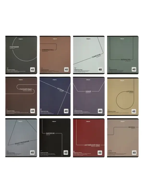 Комплект 12 предметных тетрадей 48 листов, справочная информация, 60гр, Новая коллекция