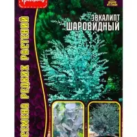 Семена Эвкалипт Шаровидный 10шт.  12.29 г.