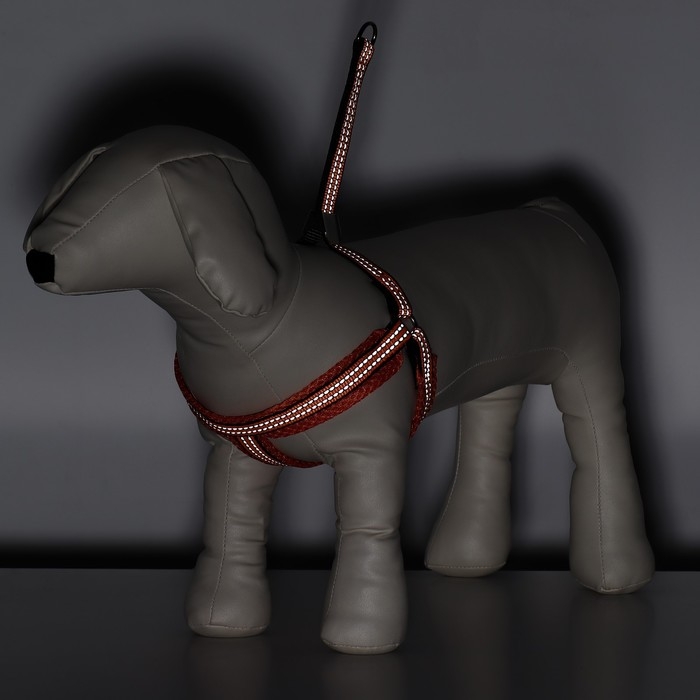 Шлейка супермягкая со светоотражающей прошивкой, размер М, обхват 32-63 см, оранжевая Шлейка супермягкая со светоотражающей прошивкой, размер М, обхват 32-63 см, оранжевая