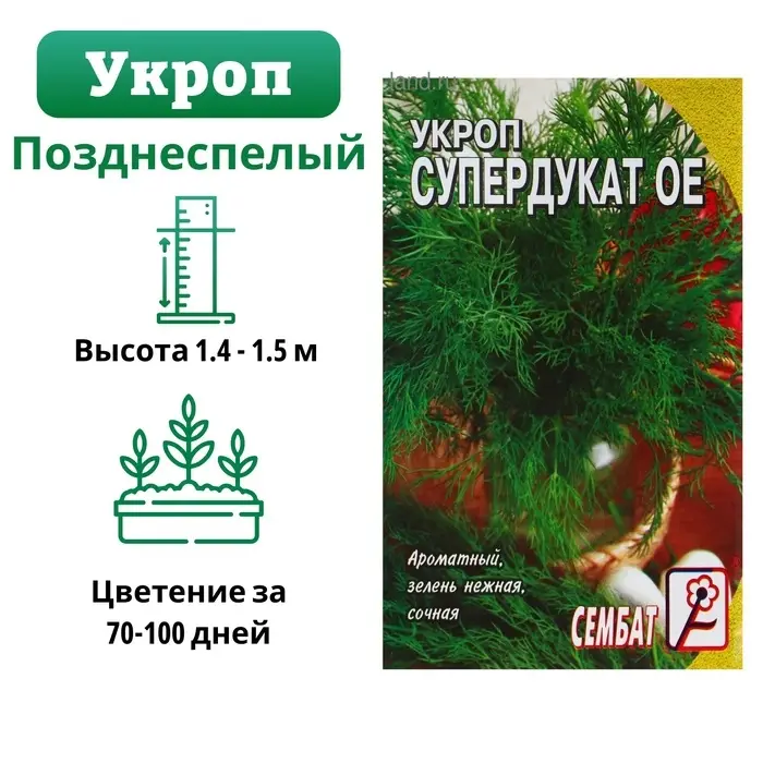 Семена Укроп  Семена Укроп "Супердукат  ОЕ", 3 г