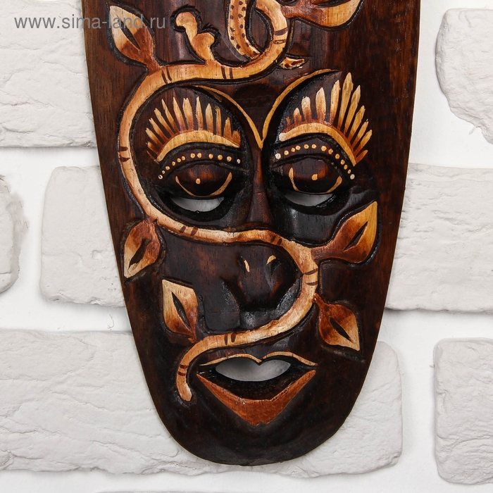 Маска дерево Маска дерево "Геккон" 30х13х2 см