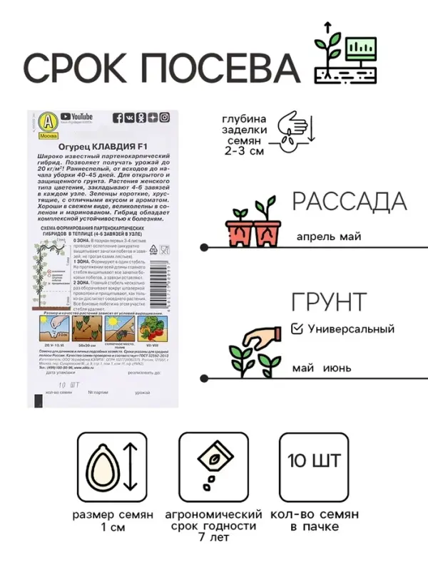 Семена Огурец Семена Огурец "Клавдия F1", раннеспелый, партенокарпическии, 10 шт
