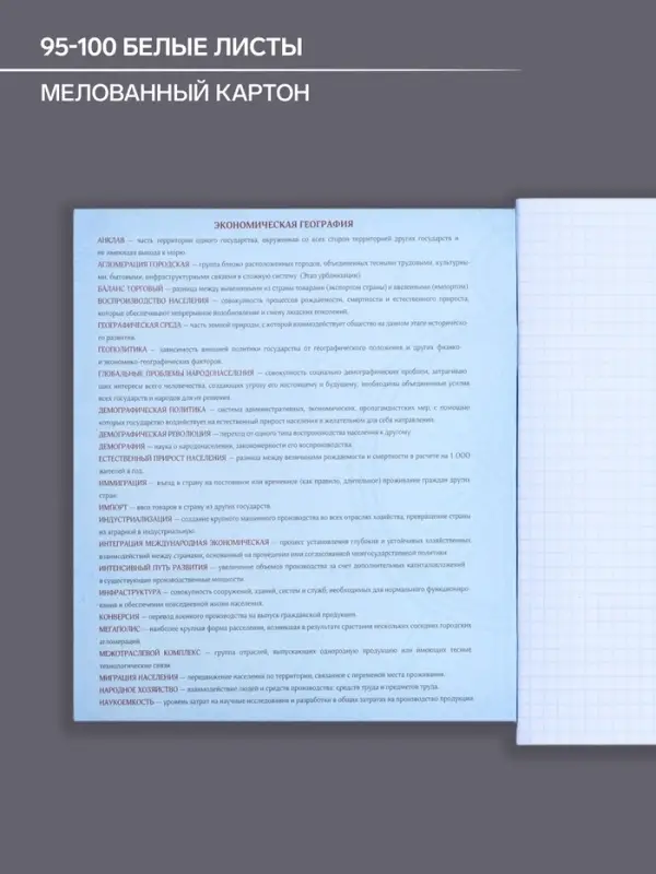 Тетрадь предметная 48 листов в клетку Calligrata, &laquo;Комикс Аниме. География&raquo;, обложка мелованный картон