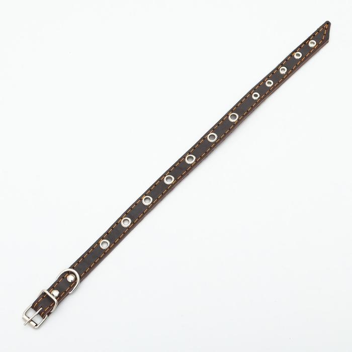Ошейник кожаный однослойный с рифленными люверсами, безразмерный, 40 х 1,5 см, ОШ 27-35 см, корич700 Ошейник кожаный однослойный с рифленными люверсами, безразмерный, 40 х 1,5 см, ОШ 27-35 см, корич700