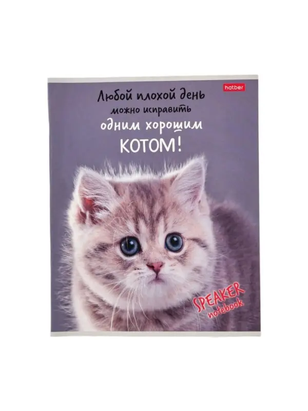 Тетрадь 40л А5ф кл 60-65г/кв.м на скобе Обл. мел.картон  серия -Кот говорит!- МИКС