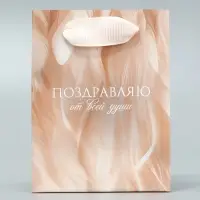 Пакет подарочный ламинированный, упаковка, «Поздравляю», 9 х 12 х 6.5 см