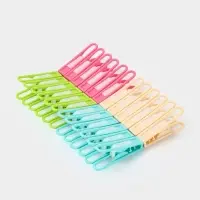 Набор прищепок бельевых 24 шт, пластик