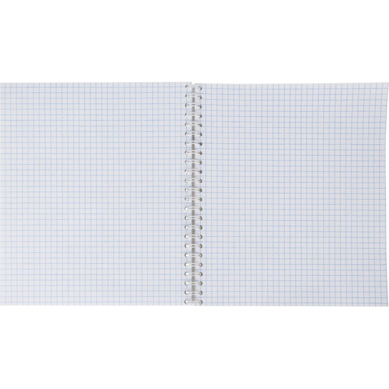 Бизнес-тетрадь Принты А5 96л, клетка, обл. мел. картон, спираль,Птицы