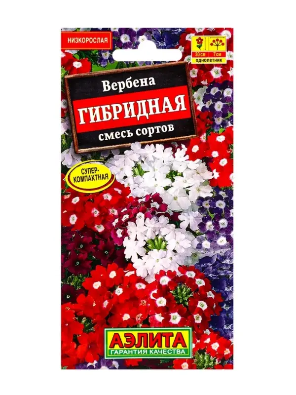 Семена цветов Вербена &laquo;Гибридная&raquo;, смесь сортов, 0.1 г, 20 шт.