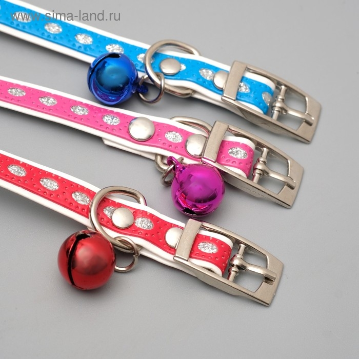 Ошейник из искусственной кожи с блестками, 32 х 1 см, микс цветов Ошейник из искусственной кожи с блестками, 32 х 1 см, микс цветов