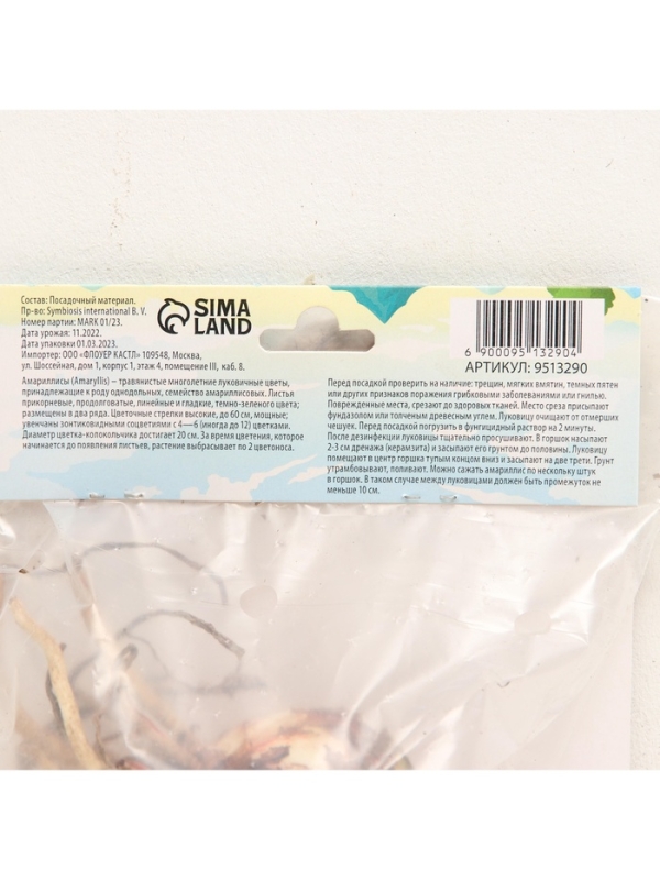 Амариллис Barbados, многолетник, луковица, р-р 24/26, 1 шт.