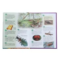 Энциклопедия российского школьника &laquo;Насекомые&raquo;