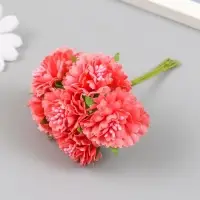 Цветы для декорирования "Астра коралловая" 1 букет=6 цветов 10 см