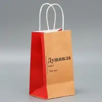 Пакет подарочный крафтовый, упаковка, «Душнила», 12 х 21 х 9 см