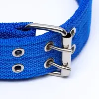 Ошейник четырехслойный, 65&times;4 см, ОШ 54-60 см, с вертлюгом, полиэстер, синий