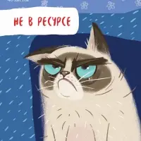 Тетрадь 48л А5ф ЛИНИЯ 60-65г/кв.м на скобе Обл. мел.картон 5 диз.в блоке скругл.углы