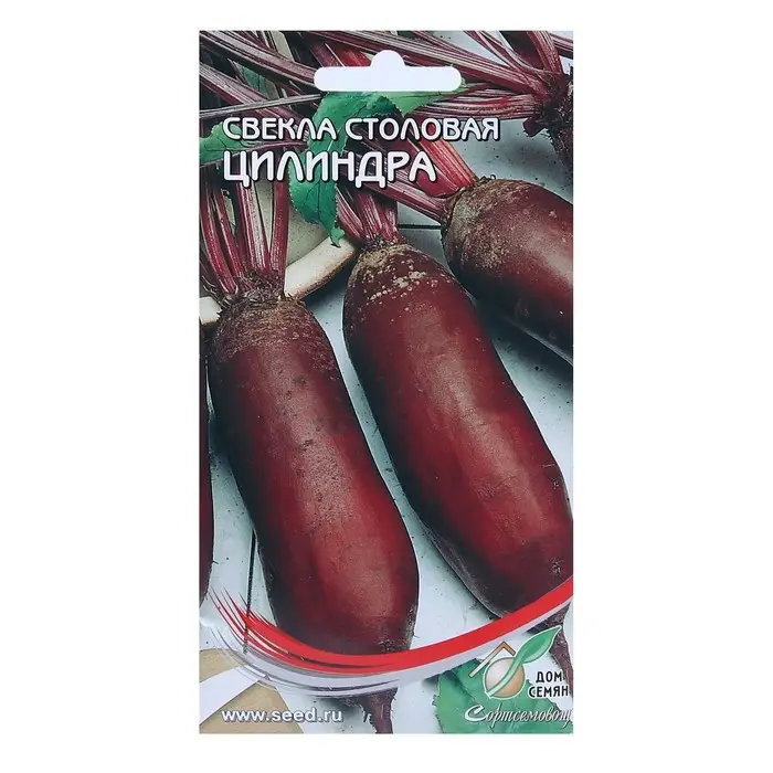 Семена Свекла  Семена Свекла "Цилиндра"  140 шт