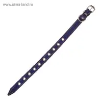 Ошейник однослойный безразмерный, 45&times;2 см, ОШ 18-39 см, кожа, синий