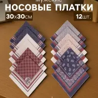 Платки носовые мужские &laquo;Этель&raquo;, размер 30&times;30 см, набор 12 шт., принт МИКС, 100% хлопок